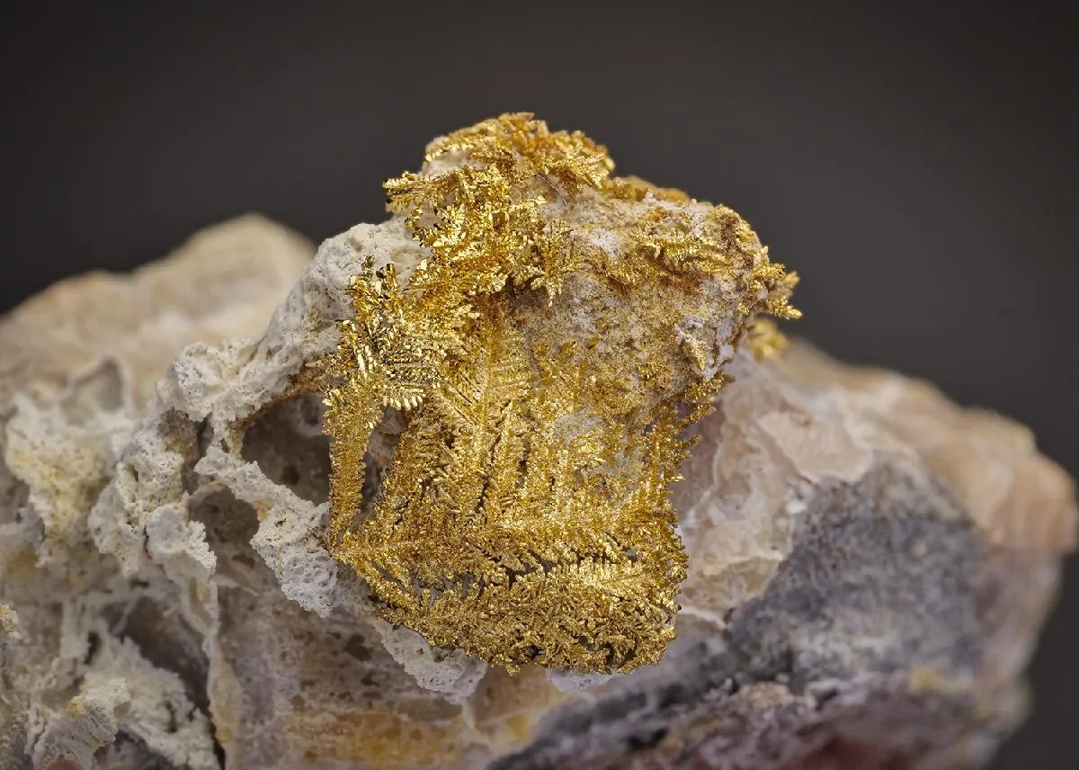 NATIVE Gold - image 1