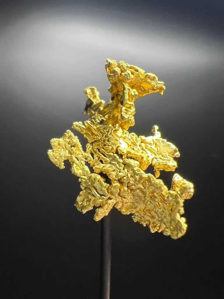 NATIVE Gold image