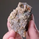 NATIVE Gold - image 2