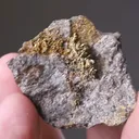 NATIVE Gold - image 2