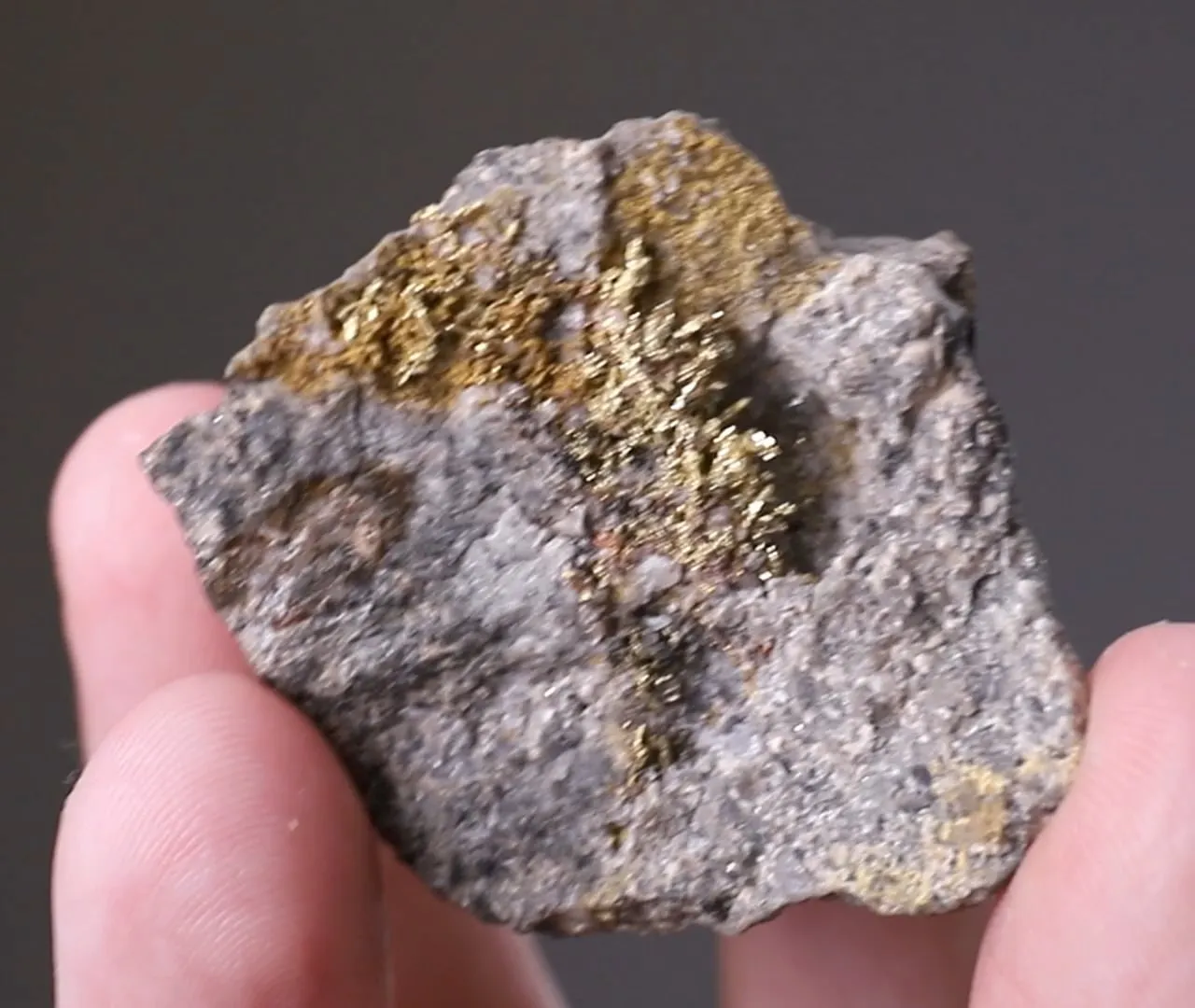 NATIVE Gold - image 2