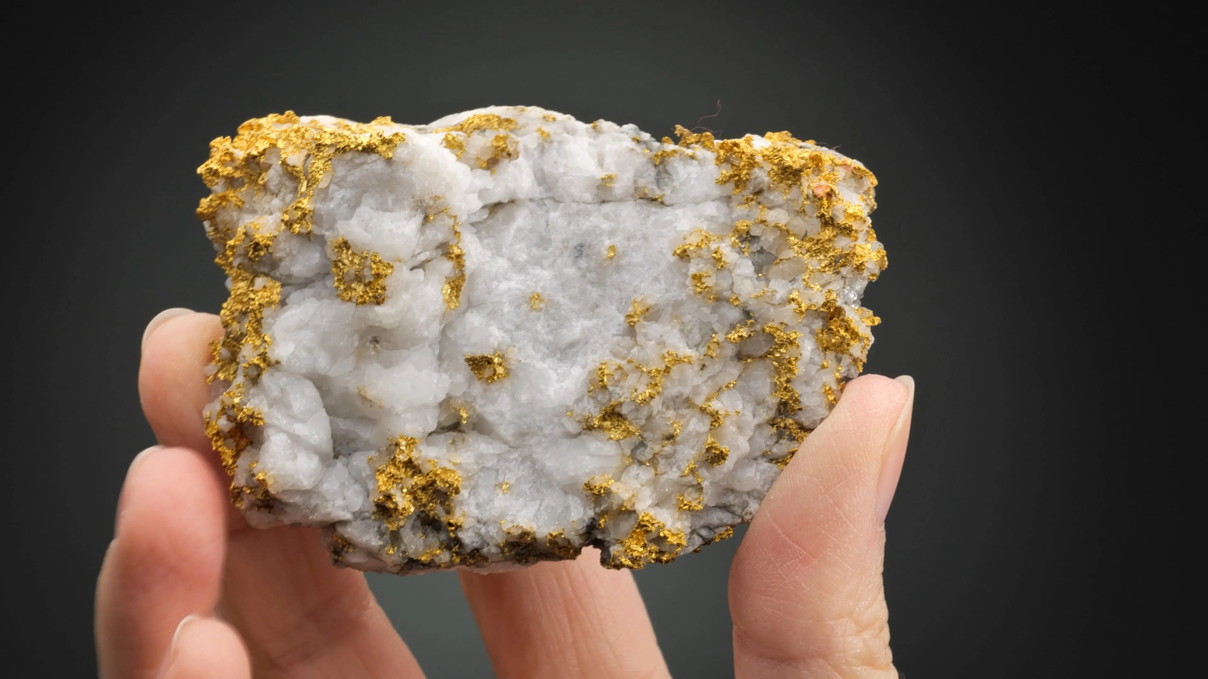 NATIVE Gold - image 2