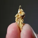 NATIVE Gold - image 2