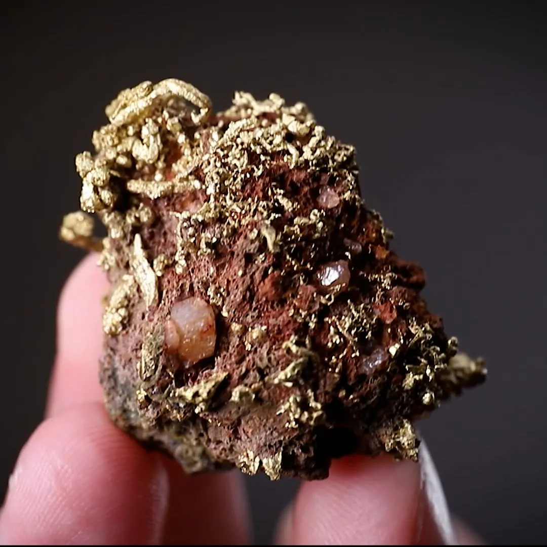 NATIVE Gold - image 2