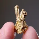 NATIVE Gold - image 2