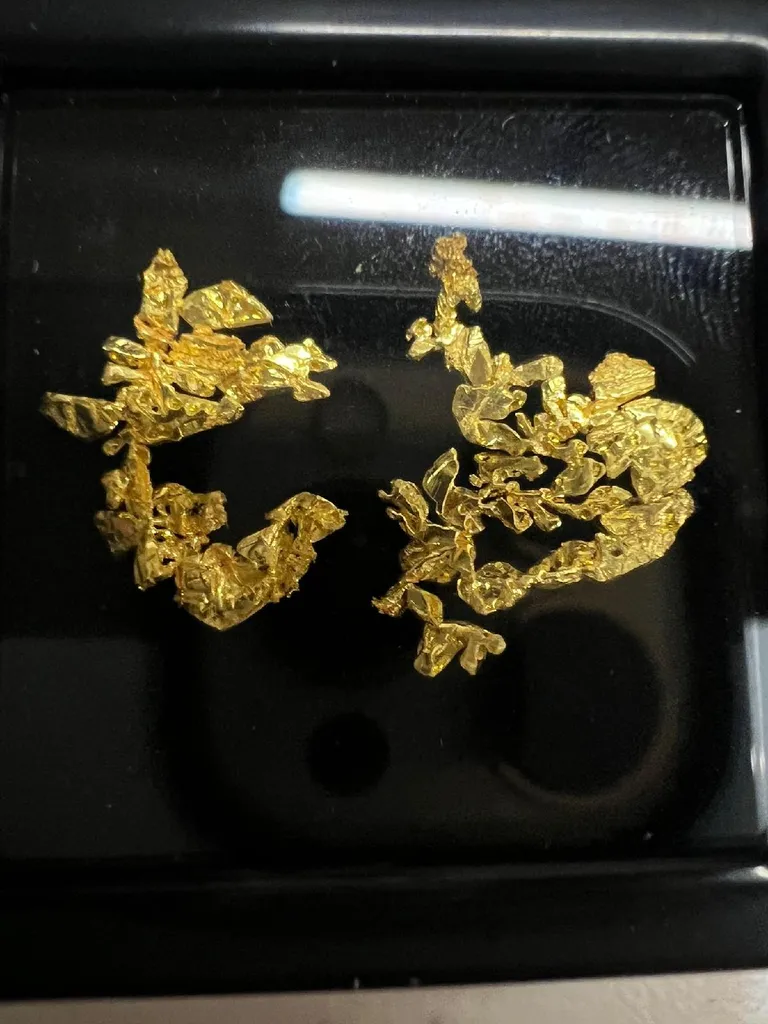 NATIVE Gold 2 pieces image