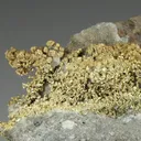 NATIVE Gold - image 1