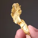 NATIVE Gold - image 2