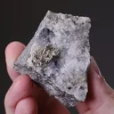 NATIVE Gold - image 2