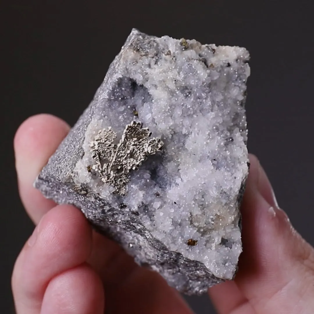 NATIVE Gold - image 2