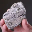 NATIVE Gold - image 2