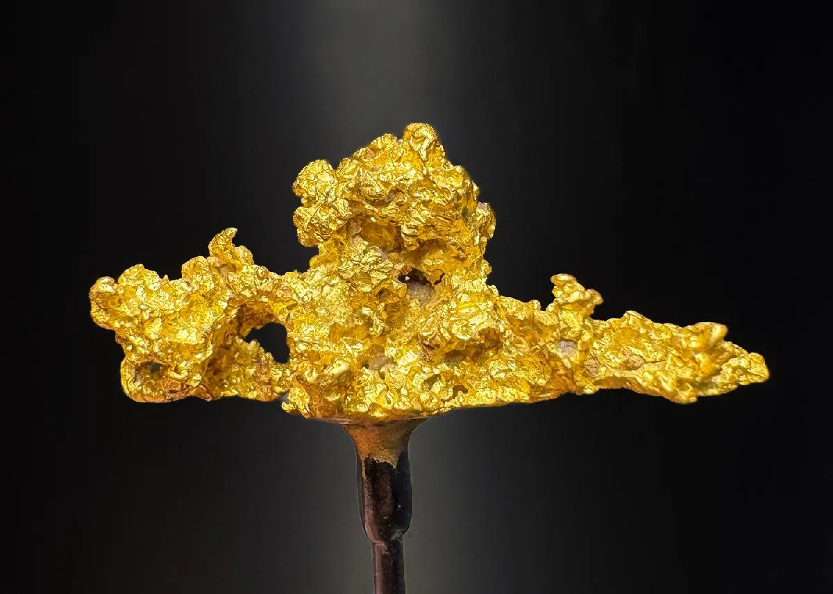 NATIVE Gold - image 1