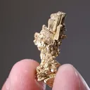 NATIVE Gold - image 2