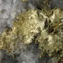 NATIVE Gold - image 1