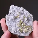 NATIVE Gold - image 2