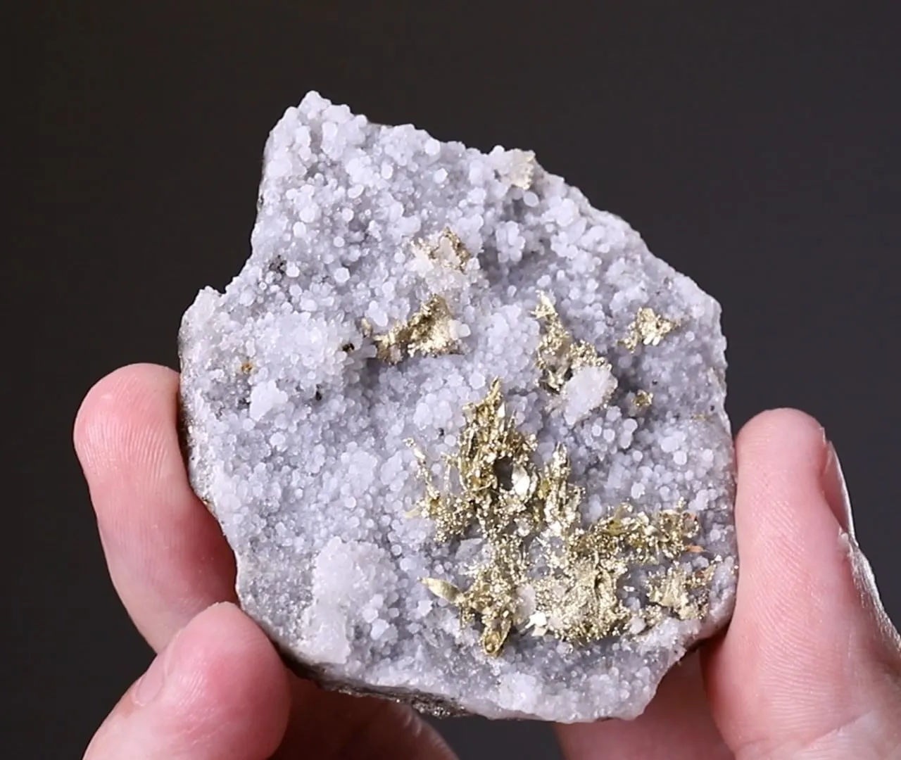 NATIVE Gold - image 2