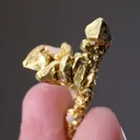 NATIVE Gold - image 2
