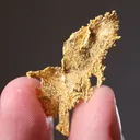 NATIVE Gold - image 2