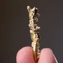 NATIVE Gold - image 2