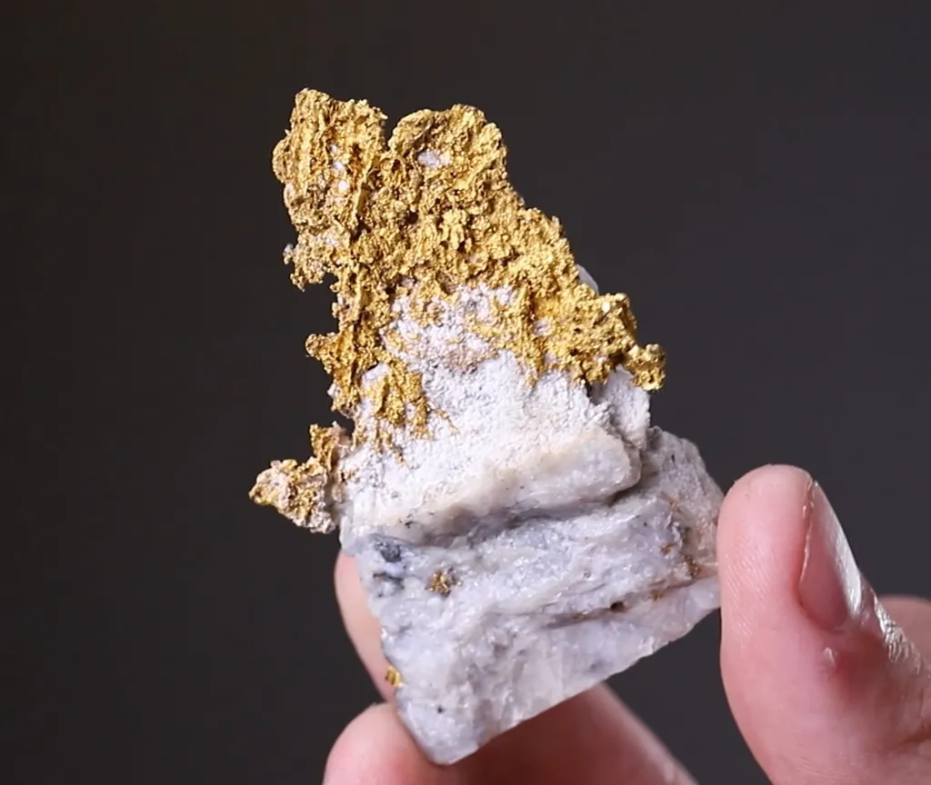 NATIVE Gold - image 2