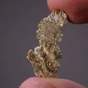 NATIVE Gold - image 2