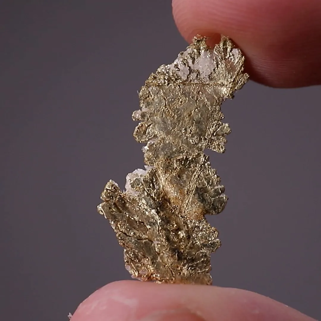 NATIVE Gold - image 2