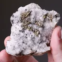 NATIVE Gold - image 2