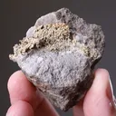 NATIVE Gold - image 2