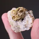 NATIVE Gold - image 2