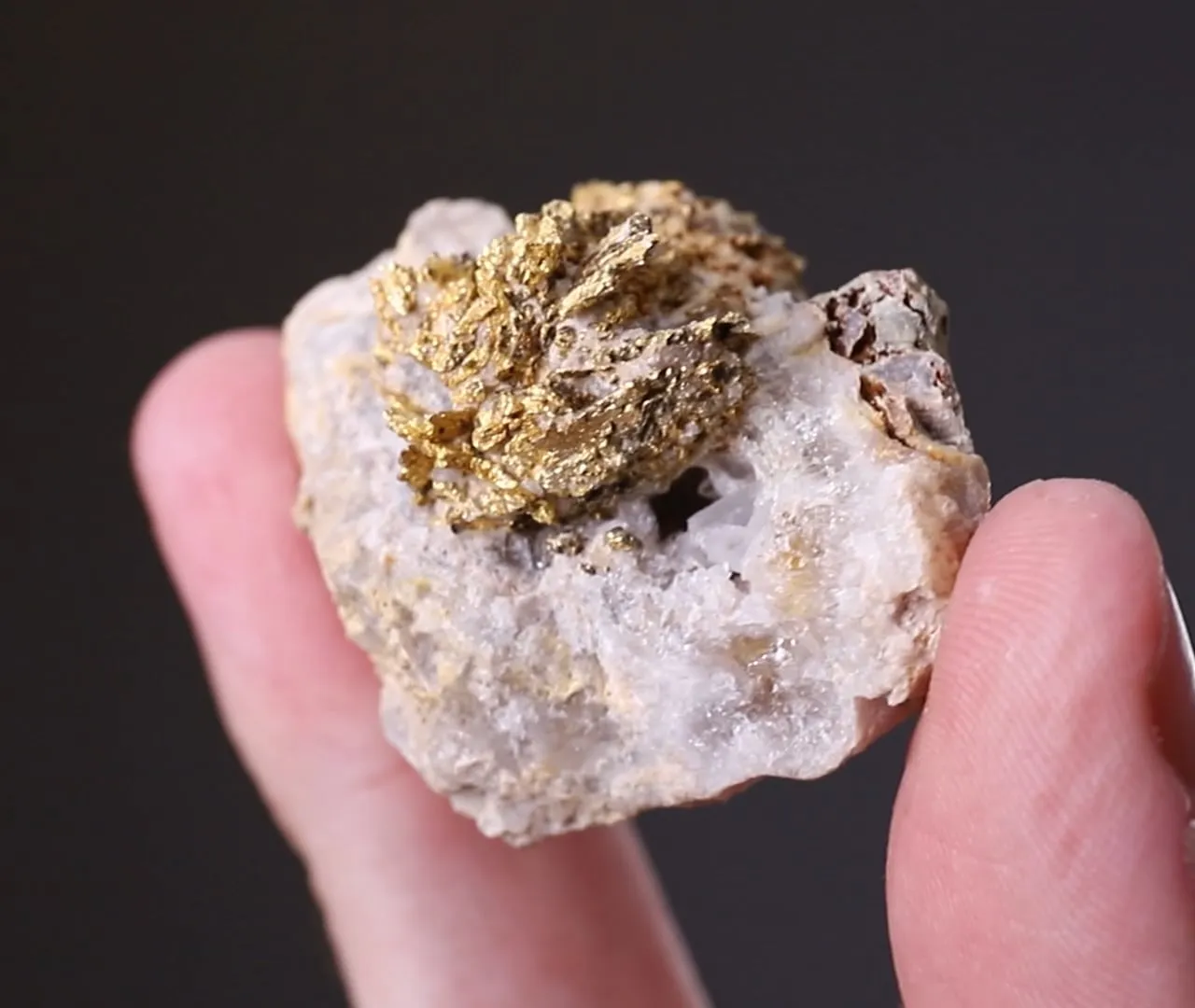 NATIVE Gold - image 2