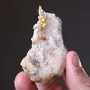 NATIVE Gold - image 2