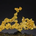 NATIVE Gold - image 1