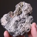 NATIVE Gold - image 2