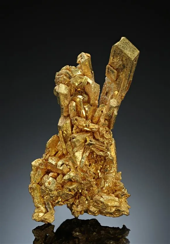 NATIVE Gold image