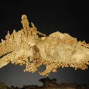 NATIVE Gold - image 1