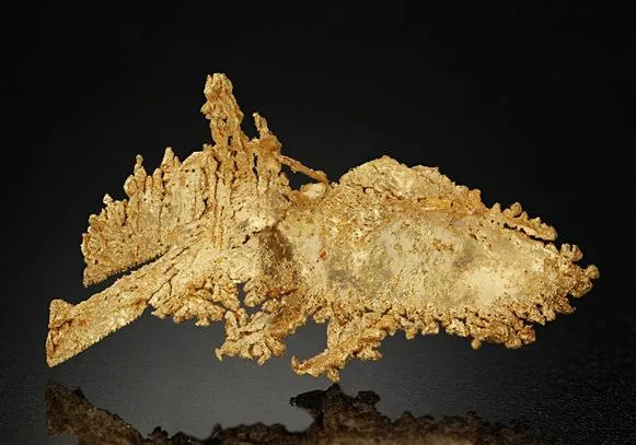 NATIVE Gold - image 1