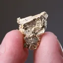 NATIVE Gold - image 2