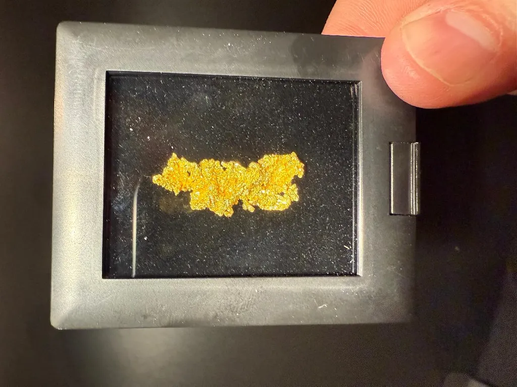 NATIVE Gold image