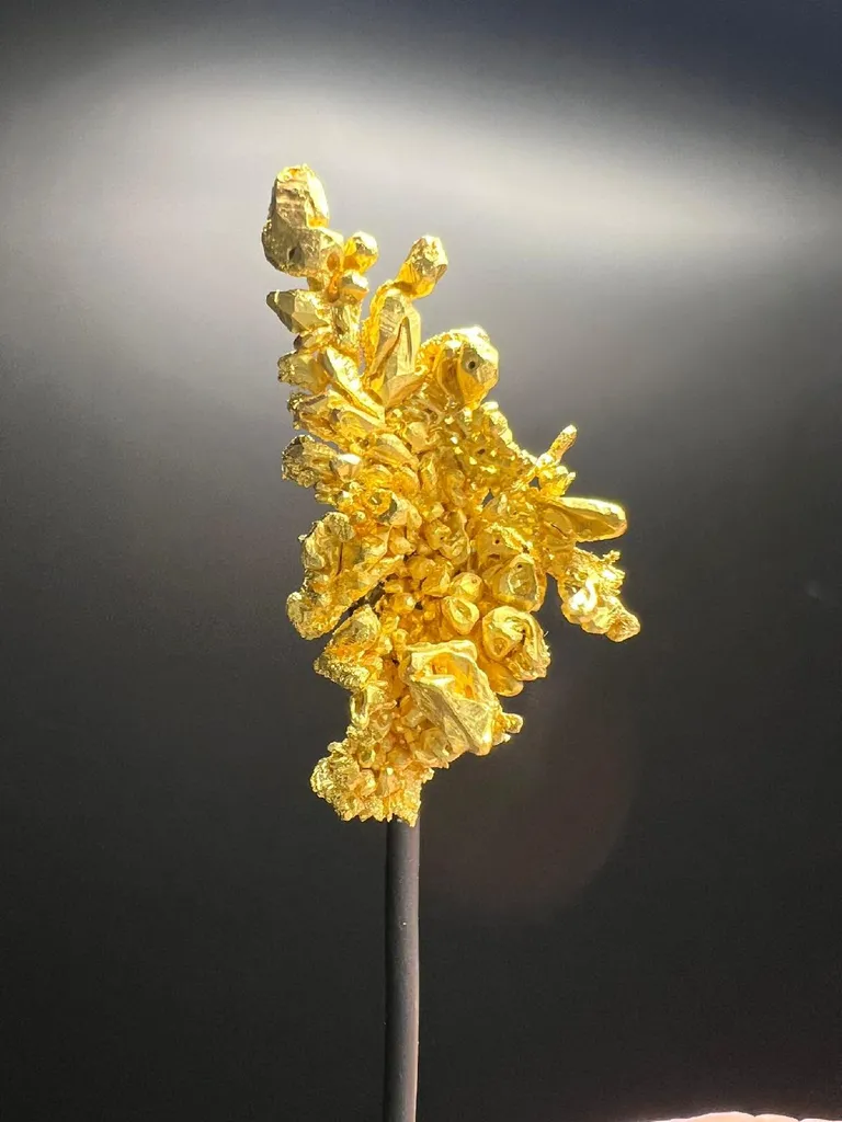 NATIVE Gold image