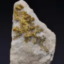 NATIVE Gold - image 1