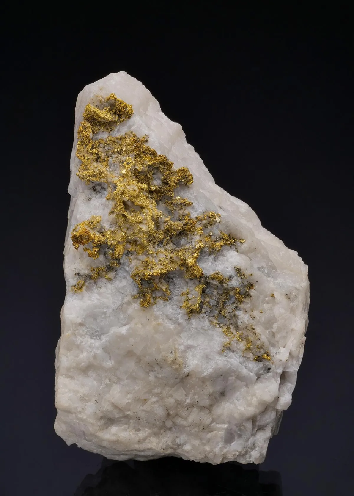 NATIVE Gold - image 1