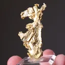 NATIVE Gold - image 2