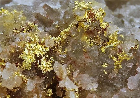 NATIVE Gold - image 1