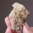 NATIVE Gold - image 2