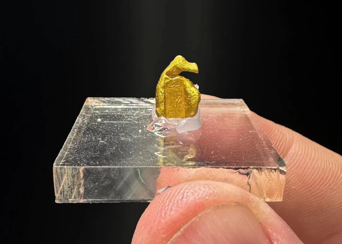 NATIVE Gold - image 1