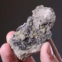 NATIVE Gold - image 2