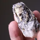 NATIVE Gold - image 2