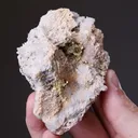 NATIVE Gold - image 2