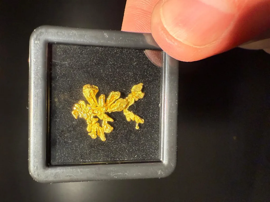 NATIVE Gold image
