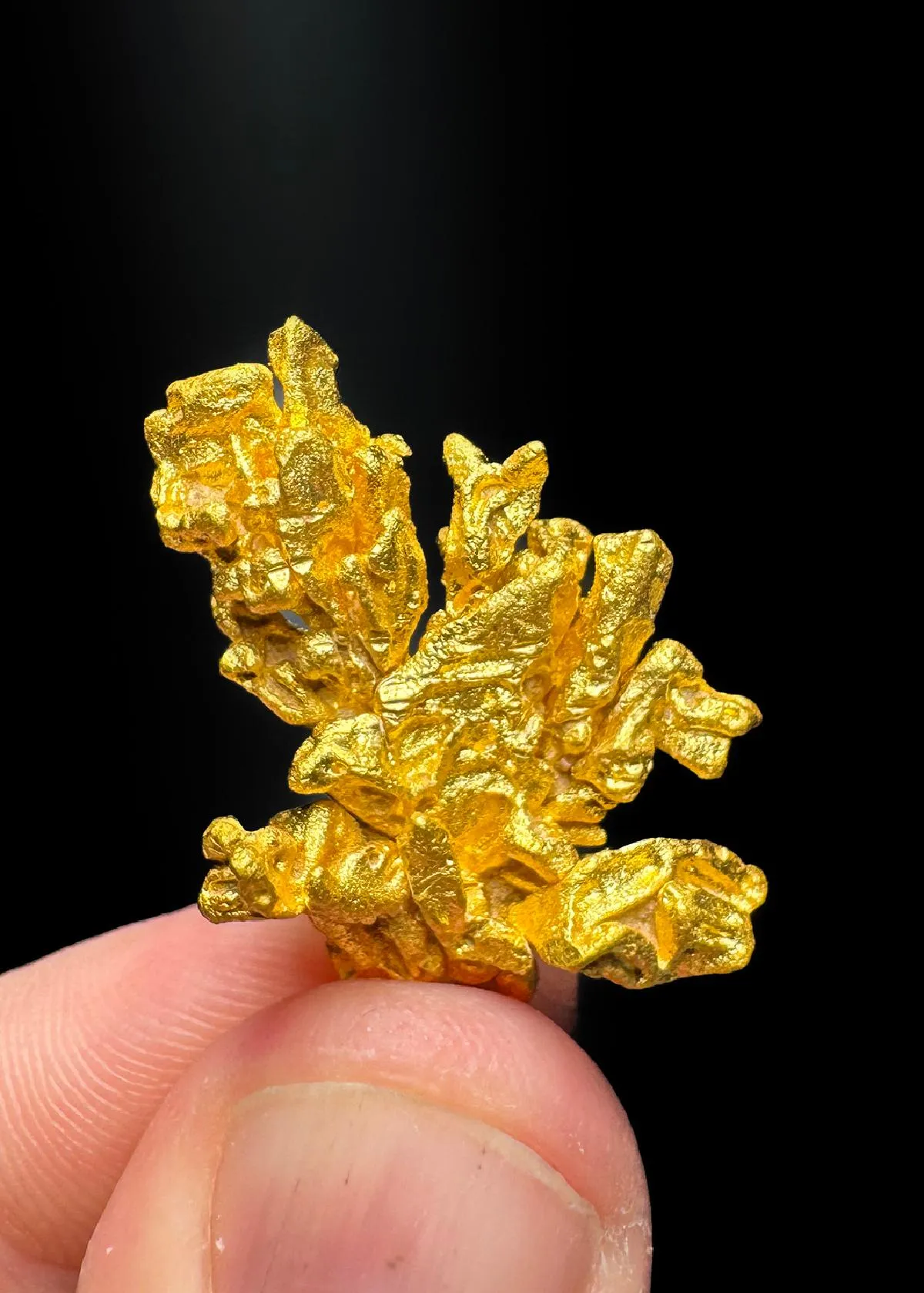 NATIVE Gold - image 1